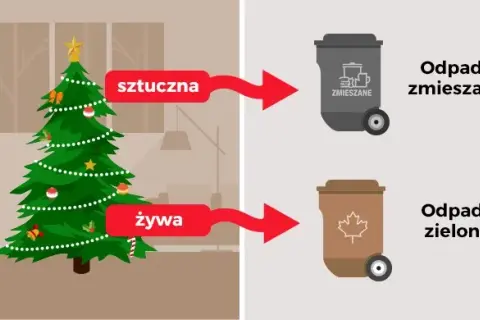 Gdzie wyrzucić sztuczną choinkę? Sprawdź, jak to zrobić właściwie