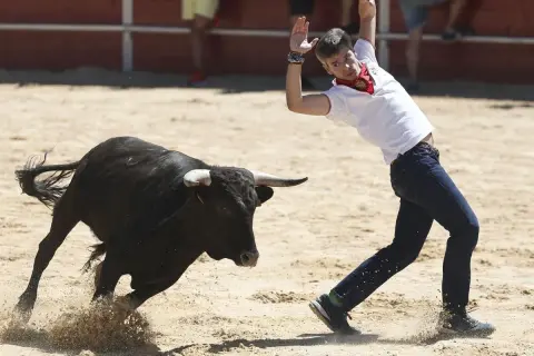 Un joven esquiva un toro bravo en la plaza. Consulta el **horario vaquillas Zaragoza** para no perdértelo.