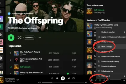 Ekran Spotify z zaznaczonymi opcjami "Usuń z kolejki" i "Udostępnij".