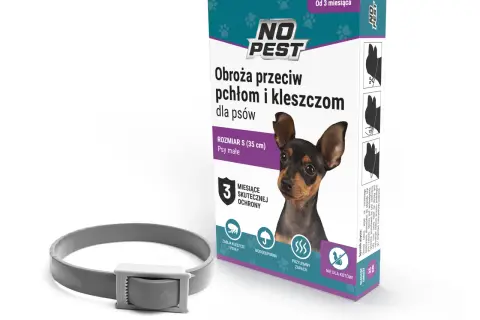 Obroża czy krople na pchły – co jest skuteczniejsze dla Twojego pupila?