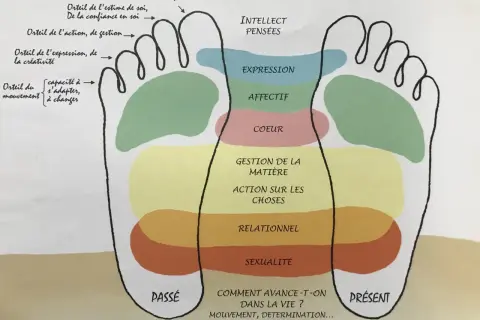 Schéma des zones du pied, de la zone voute plantaire aux orteils, associant chaque partie à des aspects de la vie : pensée, expression, cœur, gestion, relationnel, sexualité.