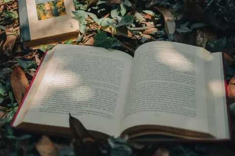 Natura w tekstach kultury: Klucz do zrozumienia człowieka i świata?