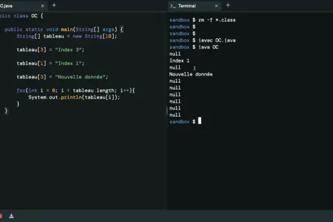 Code Java affichant un tableau de chaînes, avec "Index 1" et "Nouvelle donnée" visibles dans la sortie du terminal.