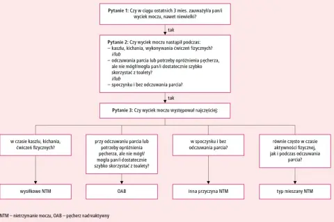 Schemat diagnostyczny problemów z oddawaniem moczu: wyciek podczas wysiłku, parcia lub w spoczynku, prowadzący do NTM wysiłkowego, OAB lub mieszanego.