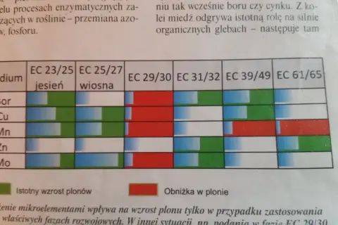 Plonvit zboża z czym łączyć, aby uniknąć błędów w uprawie