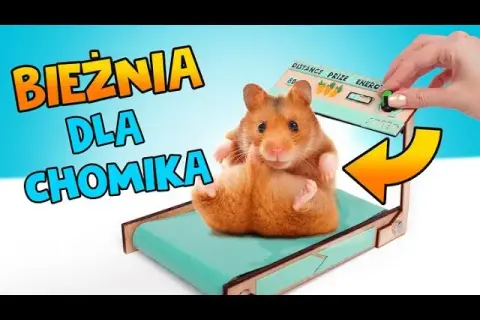 Jak zrobic bieżnie w domu - proste kroki i niezbędne materiały