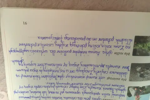 Jakie znaczenie ma gleba dla człowieka i jak wpływa na nasze życie