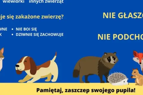 Agresywne, śliniące się zwierzęta mogą mieć wściekliznę. Nie głaszcz i nie podchodź! Zaszczep pupila.
