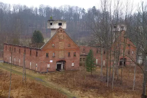 Ruiny ceglanych budynków, przypominające jedne z największych twierdz w Polsce, otoczone drzewami.