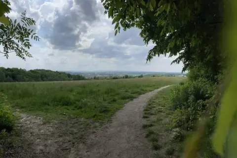 Las Wolski trasy rowerowe - odkryj najlepsze szlaki i ich trudności