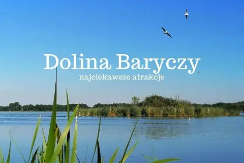Spokojna tafla wody, trzciny i dwa ptaki szybujące na błękitnym niebie nad Doliną Baryczy.
