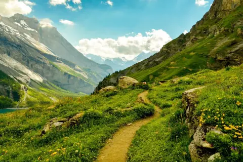 Un sendero serpentea por un prado alpino lleno de flores amarillas, con imponentes montañas nevadas al fondo. ¡Perfecto para rutas en Guadalajara!