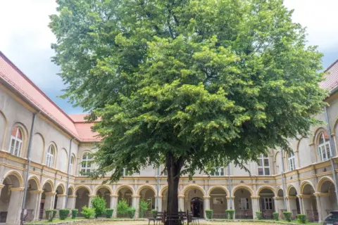 Dziedziniec z okazałym drzewem i arkadowymi krużgankami, przypominający o historii zamku w Krapkowicach.