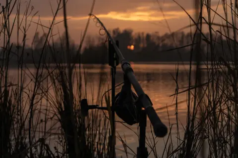 Eko Lakes Wójcina – idealne łowisko karpiowe z wyjątkowymi rybami