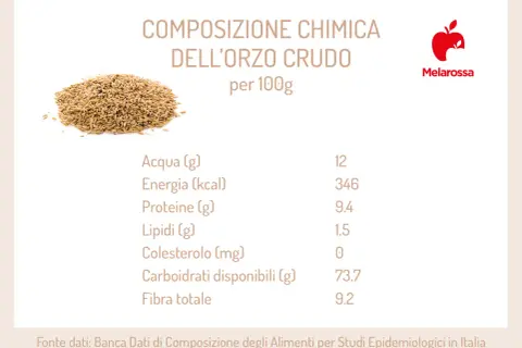 Composizione chimica dell'orzo crudo: scopri le proprietà dell'orzo, con valori nutrizionali per 100g.