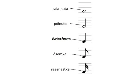 Jak wygląda cała nuta? Zrozum jej wartość i pauzę!