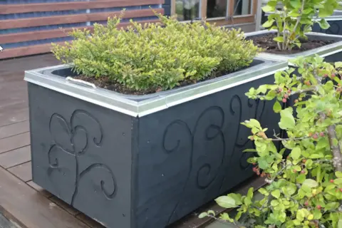 Svart blomlåda med dekorativa snirkar, perfekt för att bygga en murarbalja med grönska.