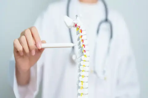 Medico indica modello colonna vertebrale, evidenziando possibile frattura vertebra D12.