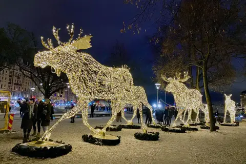 Julaktiviteter Stockholm: Ljusdekorerade älgar lyser upp en snöig kväll.