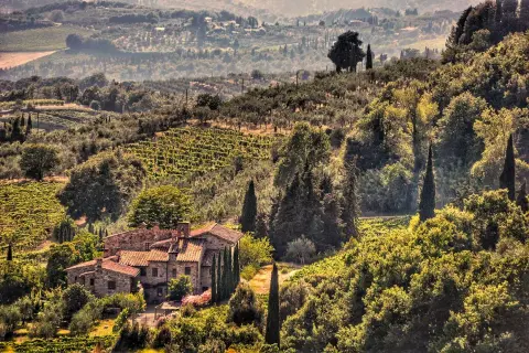 Un casale in pietra tra vigneti e uliveti, un sogno di cosa fare in Toscana.