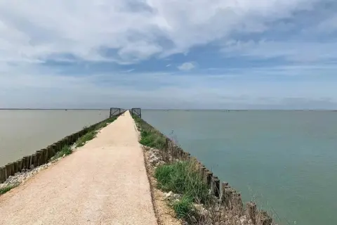 Lungo la pista ciclabile del Lido di Spina, un sentiero si estende verso l'orizzonte, circondato da acque calme e un cielo nuvoloso.