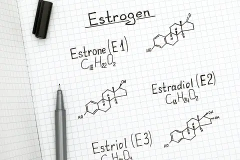 Zapiski o estrogenach: estrone, estradiol i estriol. Widoczne wzory chemiczne i formuły.