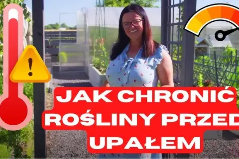 Jak chronić ogród przed erozją? Poznaj sprawdzone sposoby!
