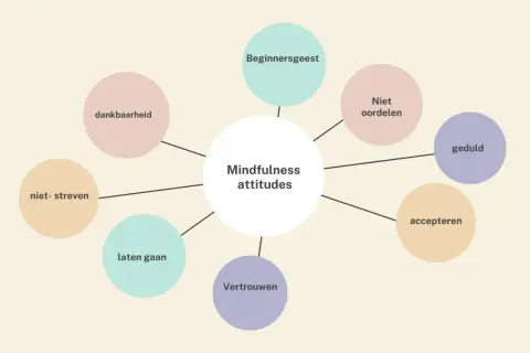 Mindfulness attitudes: dankbaarheid, beginnersgeest, niet oordelen, geduld, accepteren, vertrouwen, laten gaan, niet streven. Compassie als sleutel tot geluk.
