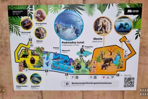 Mapa zoo koło Łodzi: zobacz orangutany, słonie, gibony, niedźwiedzie, krokodyle, pingwiny, rekiny, płaszczki i podwodny tunel.