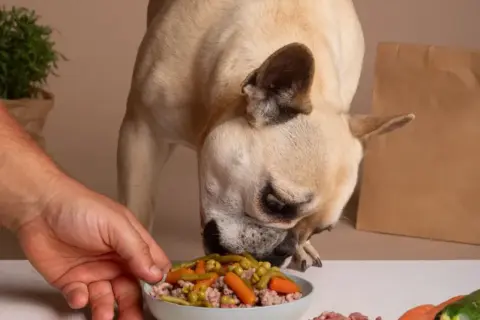 Ein Hund frisst aus einem Napf mit Erbsen, Karotten und Hackfleisch. Die Frage "darf mein Hund Erbsen essen?" wird hier positiv beantwortet.