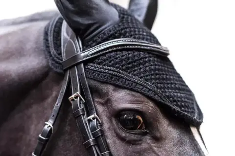 Czarny, elegancki skośnik dla konia, dopasowany do jego głowy, chroniący uszy.