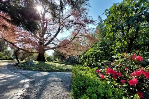 Arboretum Wojsławice: wiosną kwitną rododendrony, jesienią zachwyca drzewo o czerwonych liściach. Idealne miejsce na spacer.