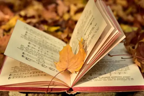 Ein altes Liederbuch mit Noten und Texten liegt auf Herbstlaub. Ein gelbes Blatt ruht auf den Seiten, als würde es alte Volkslieder singen.