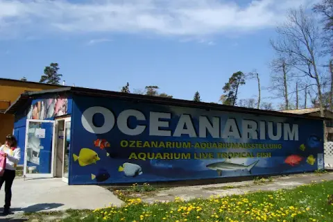 Oceanarium Mielno: Czy to miejsce już nie działa i co dalej?