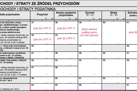 Ile za rozliczenie PIT? Sprawdź, jak to zrobić bez opłat!