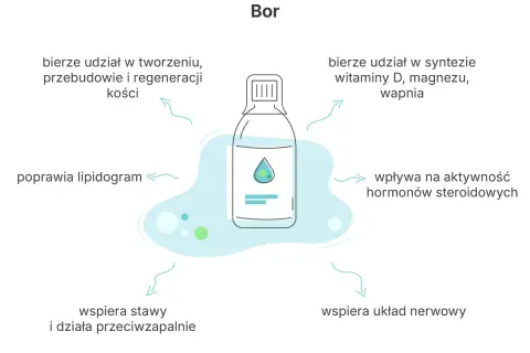 Bor pomaga w tworzeniu kości, syntezie witaminy D, wspiera stawy i układ nerwowy.