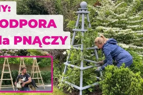 Jak zrobić pergolę na róże, aby pięknie kwitły przez lata