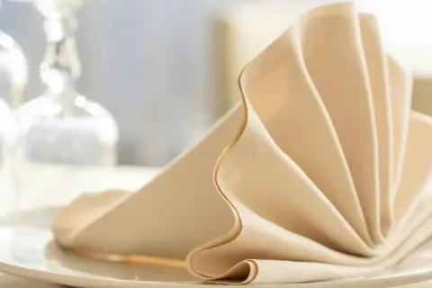 Un élégant modèle de serviette de table beige, plié en éventail sur une assiette blanche, prêt pour un repas raffiné.