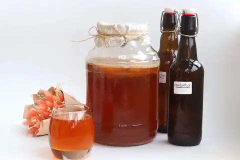 Skąd kombucha? Podróż przez wieki: od cesarzy do Twojej szklanki.