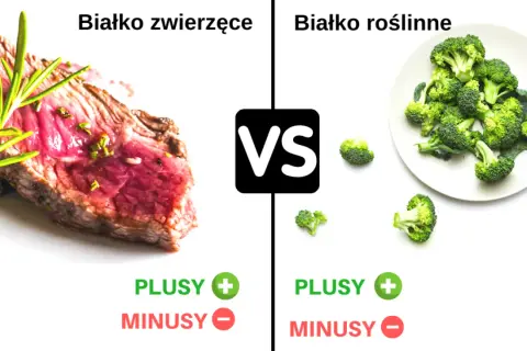 Czy białko roślinne jest pełnowartościowe? Odkryj prawdę o aminokwasach