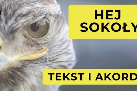 Zbliżenie na oko sokoła, obok żółty napis "HEJ SOKOŁY TEKST I AKORDY".