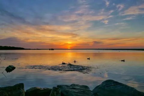 Atardecer en la laguna de Puerto Rey. Patos nadan en aguas tranquilas reflejando el cielo anaranjado.