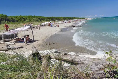 Persone rilassate sotto un telo sulla spiaggia della Bassona, con il mare azzurro e la pineta sullo sfondo.