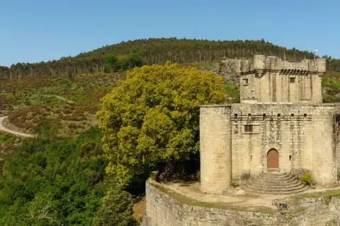 El Castelo de Sobroso, una fortaleza de piedra, se alza majestuoso entre colinas verdes y un gran árbol frondoso.