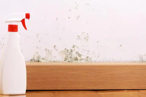 Sprühflasche neben schimmeliger Wand. Hilfe bei Stockflecken entfernen, auch in der Waschmaschine.