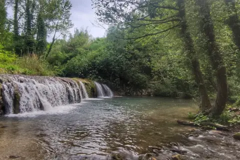 Le cascatelle di Cingoli, un angolo di paradiso verde con acqua cristallina e alberi secolari che creano un'atmosfera magica.