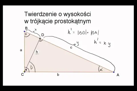 Wysokość trójkąta: opanuj wzory i metody dla każdego typu