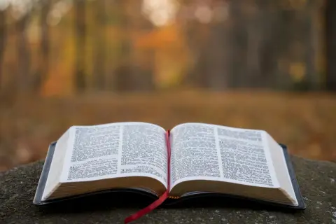 Otwarta Biblia na kamieniu, w otoczeniu jesiennych liści. Czerwona wstążka wskazuje stronę, gdzie szukamy pocieszenia i modlitwy o cud.