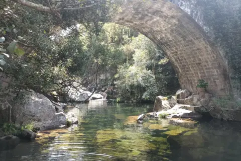 Agua cristalina bajo un puente de piedra en la playa fluvial Maceira, rodeada de vegetación exuberante y rocas.