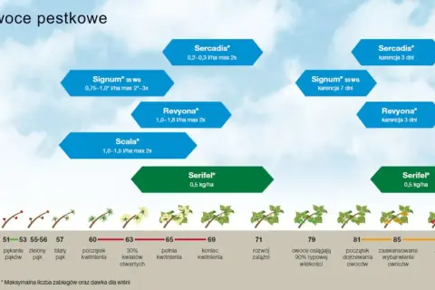 Schemat ochrony owoców pestkowych, uwzględniający m.in. fungicyd **difenokonazol** (w produktach Revyona, Signum), pokazuje fazy rozwojowe roślin i zalecane zabiegi.